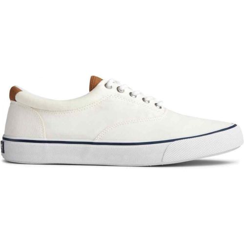 Chaussures Vulcanisée STRIPER II CVO - Coton - Sperry - Modalova
