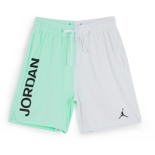 fake jordan shorts