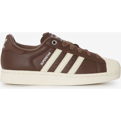 Superstar Marron/blanc - adidas Originals - Modalova
