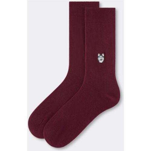Chaussettes brodées Dogs Taille TAILLE UNIQUE - Calzedonia - Modalova