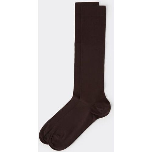 Chaussettes longues en coton extensible Taille 40-41 - Calzedonia - Modalova