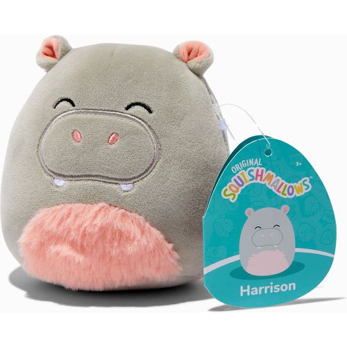 Peluche Harrison l'hippopotame exclusivité Internet 13 cm Squishmallows™ - Claire's - Modalova