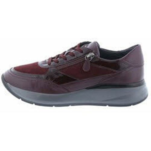 Sioux Tennis 37 - Sioux - Modalova
