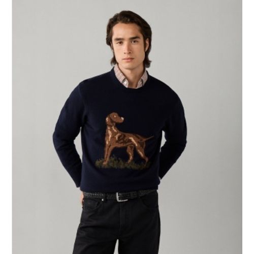 HM7000281 Pull Highland Hound (S), Casuel, Laine, Classique, Manche longue - Hackett London - Modalova