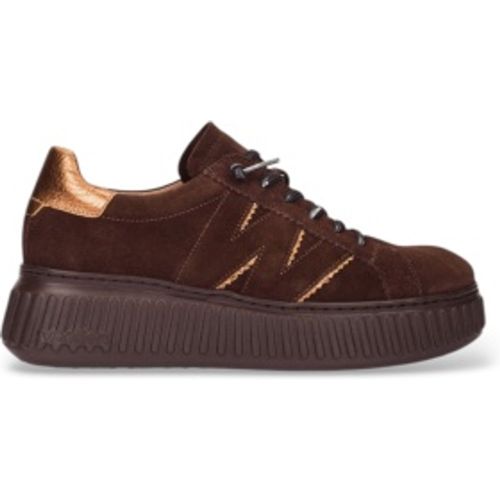 A-5201_941_12214 Chaussures en cuir Xfly 01 Marron (37), Plat, Lacets, Casuel - Wonders - Modalova