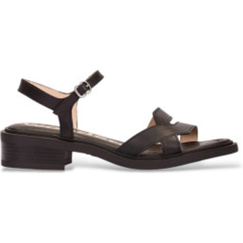 B-9610 Sandales Tokat (42), Cuir, 1 à 3 cm, Boucle, Casuel - Wonders - Modalova