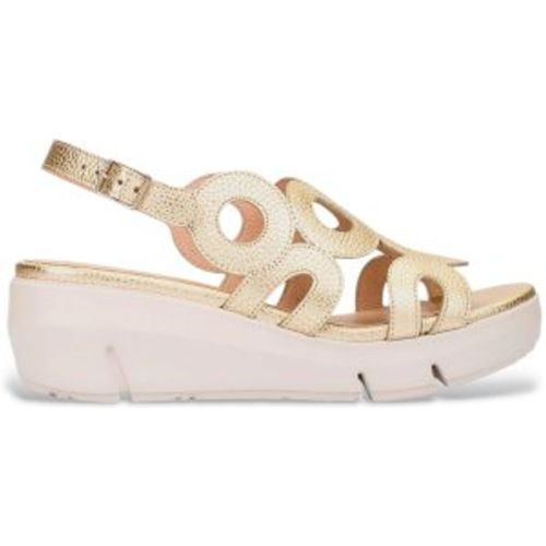 D-8282_5432_7285 Sandales en cuir Golden Onda (38), , 3 à 5 cm, Boucle, Casuel - Wonders - Modalova