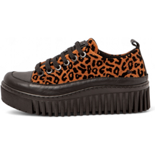 S1FC003_ESP Trainers 1518S Brighton brown (36), Marron, 3 à 5 cm, Lacets, Casuel - ART - Modalova
