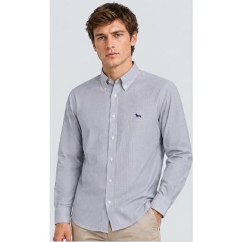 CRR074013435B Chemise à micro-rayures (L), Coton, Classique, Manche longue - Harmont & Blaine - Modalova