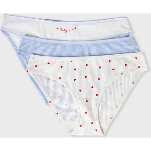 Lot de 3 culotte en coton - Johnnie - S - Etam - Modalova