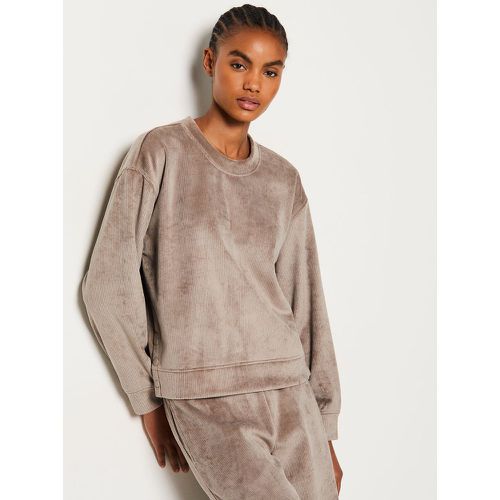 Sweat de pyjama côtelé - Lorenn - XS - Etam - Modalova