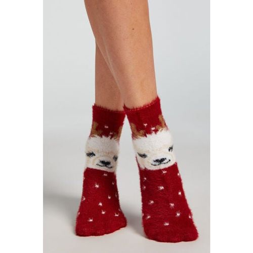 Lot de 2 Paires de Chaussettes Cosy - Hunkemöller - Modalova