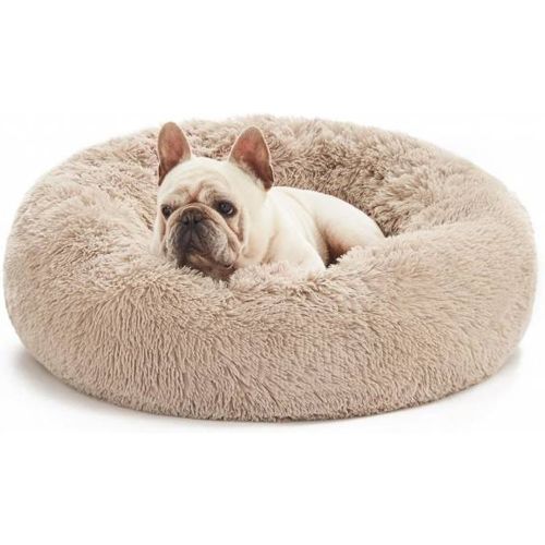 County" Lit pour chien 50 x 50 x 20 cm beige - SPOCADO - Modalova