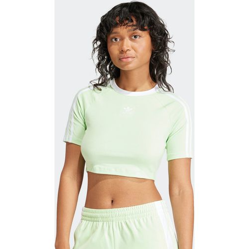 Adicolor 3-Stripes Crop T-Shirt, , Apparel, en , taille: XS - adidas Originals - Modalova