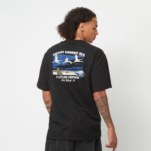 Companion Tee Short Sleeve, , T-Shirts & Polos, en , taille: S - Dickies - Modalova