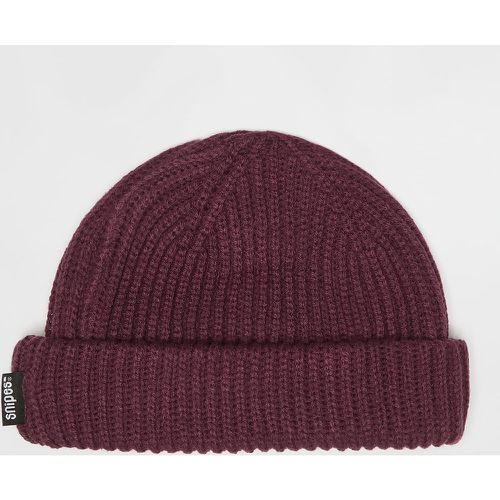 Woven Flag Label Basic Fisherman Beanie aubergine, , Accessoires, en , taille: ONE SIZE - SNIPES - Modalova