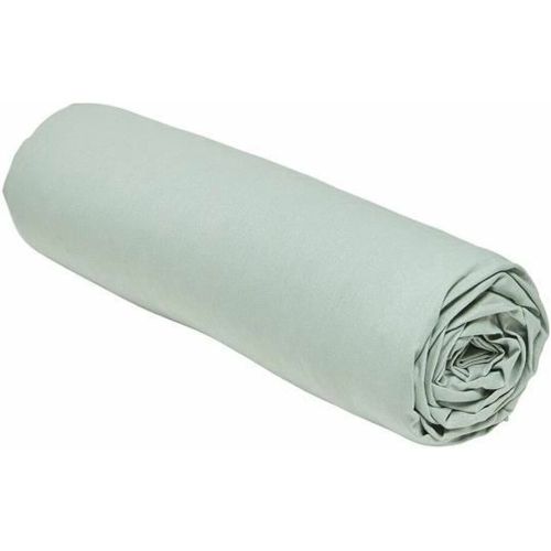Drap housse coton Today Essential - Today - Modalova