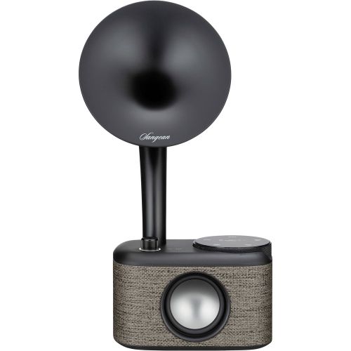 Radio de table gramophone, DAB+, FM AUX, Bluetooth, USB, écran tactile, rechargeable CP-100D - Sangean - Modalova