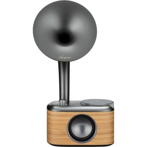 Radio de table gramophone, DAB+, FM AUX, Bluetooth, USB, écran tactile, rechargeable CP-100D - Sangean - Modalova