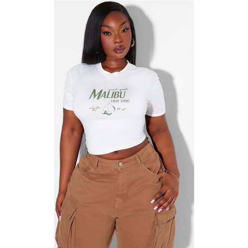 Plus T-shirt court à imprimé Malibu - PrettyLittleThing - Modalova