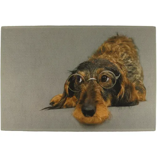 Paillasson Dachshund With Glasses - Akah - Modalova