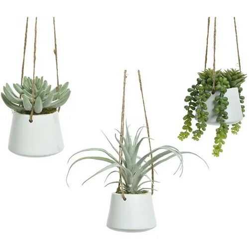 Plante d'intérieur succulent artificielle à accrocher - BigBuy Home - Modalova