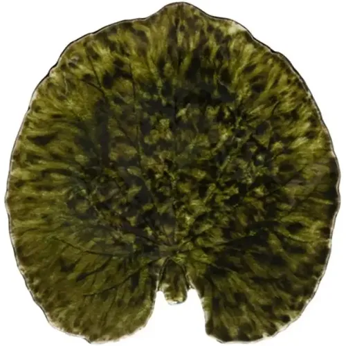Assiette feuille d'alchémille Riviera Alchemille leaf (x6) - Costa Nova - Modalova
