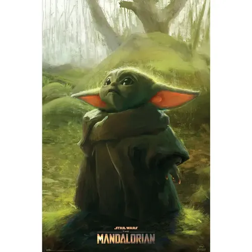 Poster Star Wars The Mandalorian - Erik - Modalova