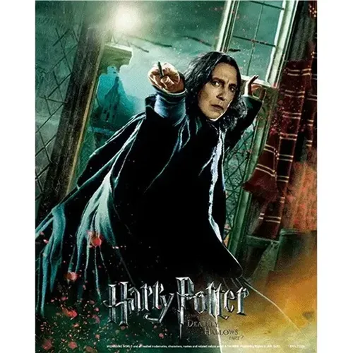 Cadre 3D lenticulaire Harry Potter Deathly Hallows Snape - Pyramid - Modalova