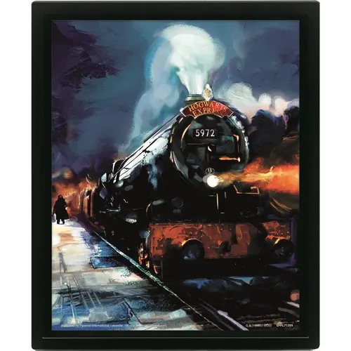 Cadre 3D lenticulaire Harry Potter Hogwarts Express - Pyramid - Modalova