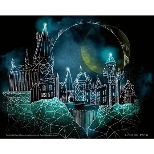 Cadre 3D lenticulaire géométrique Harry Potter Hogwarts - Pyramid - Modalova