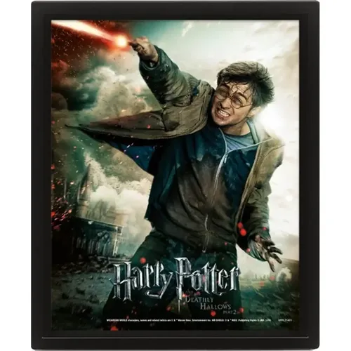 Cadre 3D lenticulaire Harry Potter Expelliarmus - Pyramid - Modalova