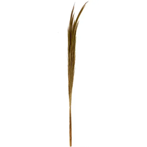 Objet décoratif Small Hay Bundle - Pole To Pole - Modalova