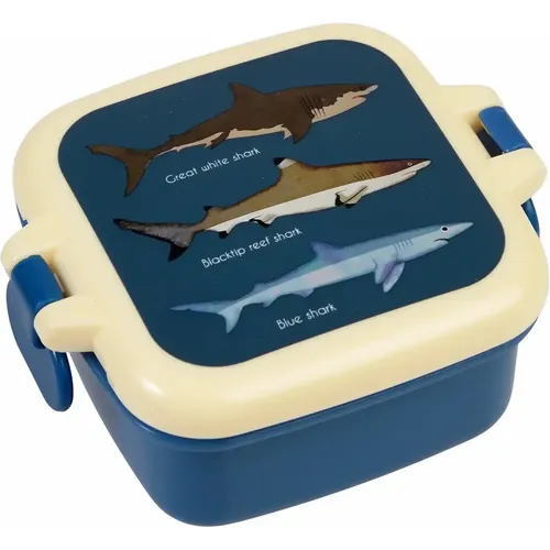Lunch box à collation Sharks - Rex London - Modalova