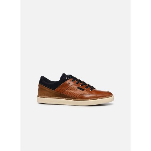 Baskets PAWAKI - MARVIN&CO - Modalova