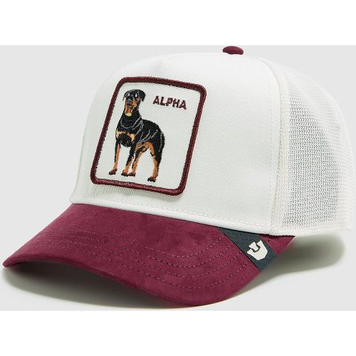 Alpha Suede Cap - - Goorin Bros - Modalova