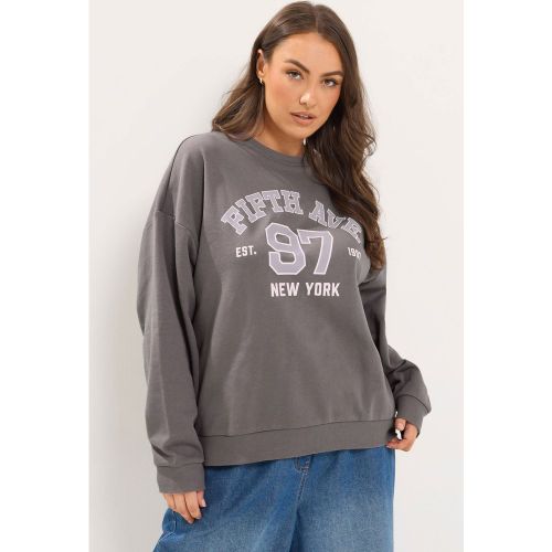 Sweatshirt Gris À Message « Fifth Avenue » Size 50-52 - Yours - Modalova