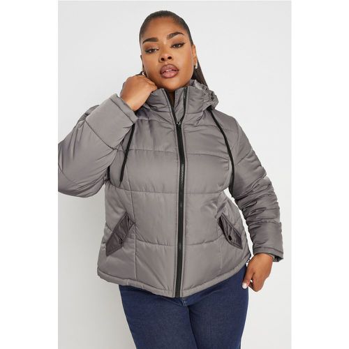 Curve Grey Boxy Short Padded Coat, Grande Taille & Courbes - Yours - Modalova