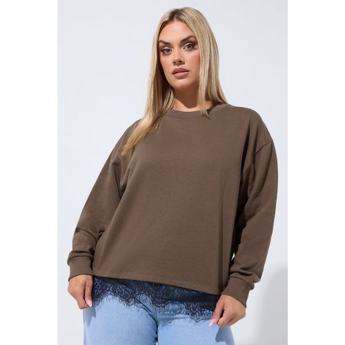 Sweatshirt Marron Chocolat À Ourlet En Dentelle Size 42 - Limited Collection - Modalova