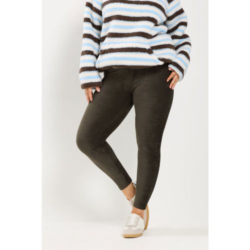 Legging En Velours Côtelé Marron Chocolat Size 50 - Yours - Modalova