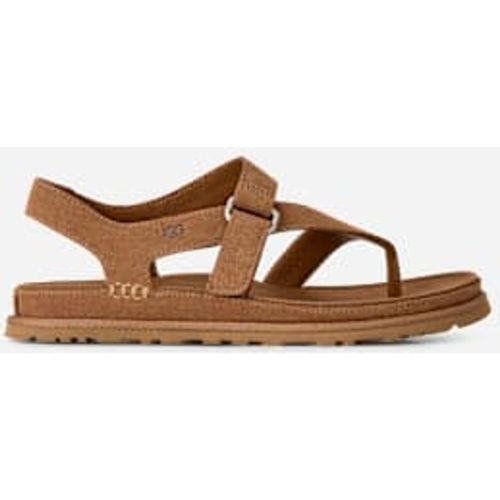 Sandale GoldenGaze Toe Post in Brown, Taille 36, Daim - Ugg - Modalova