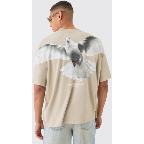 Oversized Large Scae Dove Graphic T-shirt - Boohooman - Modalova