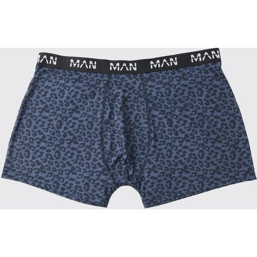 Grande Taille - Boxers À Imprimé Léopard - Xxl - boohoo - Modalova