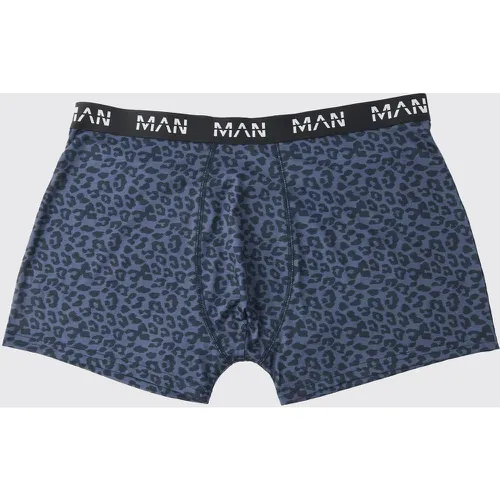 Grande Taille - Boxers À Imprimé Léopard - Xxxl - boohoo - Modalova