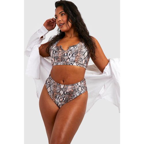 Grande Taille - Bas De Maillot À Imprimé Serpent - 46 - boohoo - Modalova