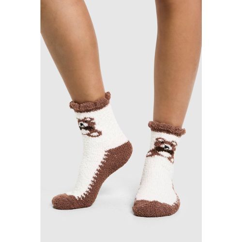 Chaussettes À Imprimé Ours - One Size - boohoo - Modalova