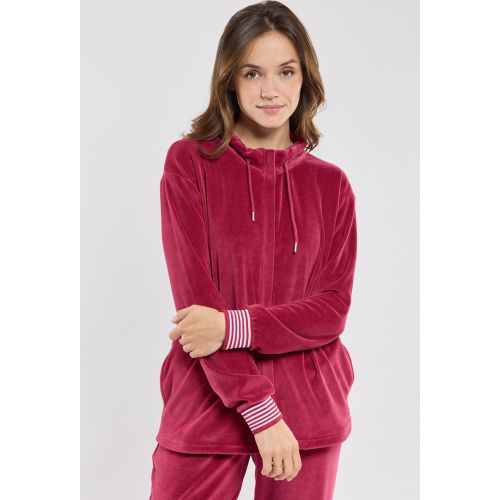 Veste zippée homewear - velours - ARMOR LUX FR - Modalova