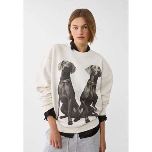 Sweat imprimé chiens XS - Stradivarius - Modalova