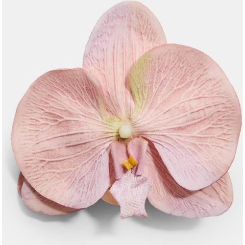 Pince à fourrure fleur d'orchidée OS - Stradivarius - Modalova