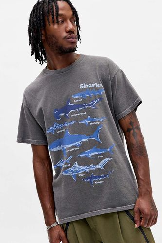 T-shirt graphique décontracté UO Shark Chart par en taille: XS - Urban Outfitters - Modalova